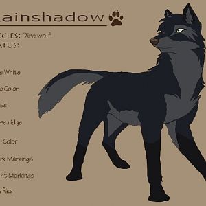 Rainshadow is a female Dire Wolf. She has a grayish black coat with a dark gray underside. She has grey markings around her eyes and pitch black legs.