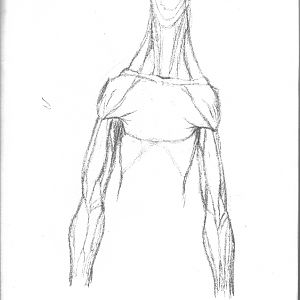 Fun with anatomy