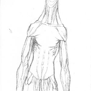 Fun with anatomy2