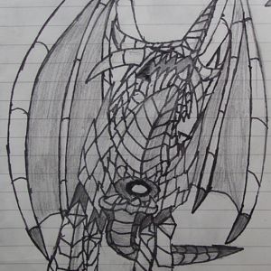 A Dragon