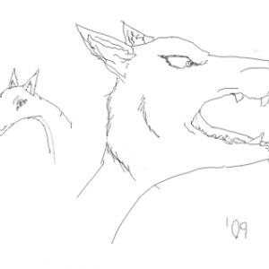 2 Animals