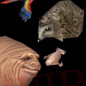 Hedgehog and Scarlet Macaw models and Walrus skin.