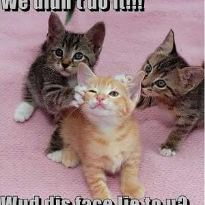 They didn't do it :3