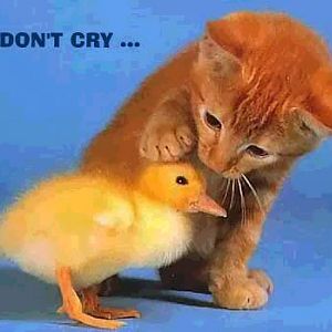 sweet... :3