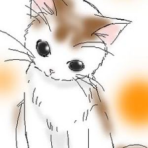 catty