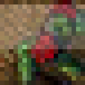2. WarcraftIIIUserbar