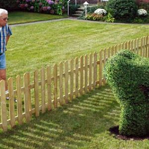 neighbours