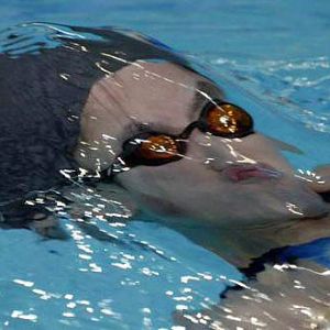 beijing olympics 2