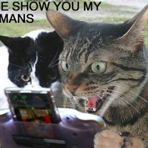 Pokemans