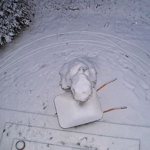 This is snow - Or rather a snowman that I build.