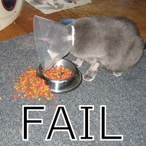 fail
