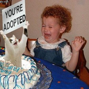 adopted