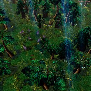 ForestWIP