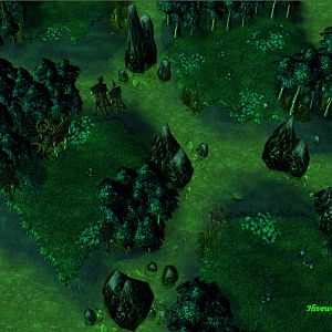 Swamp