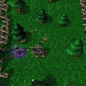 In the last second, the grouse rise from the earth and confront Emperor Trolman! The grouses aid will be a large boost in the war, considering their v