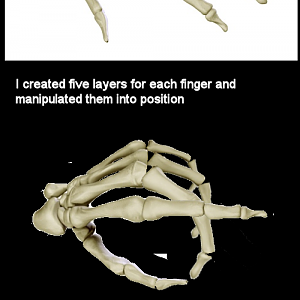 Reference