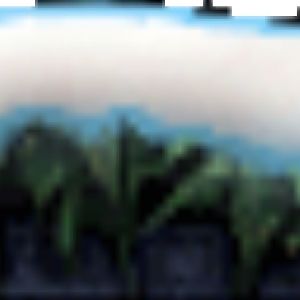 Snowyborder
