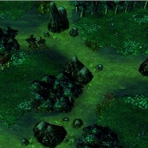 Swampborder