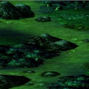 Swampborder2