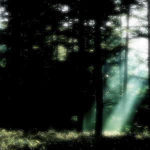 My current wallpaper. "Photoshopped" with Paint.net.
