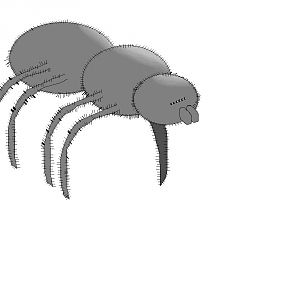 Tarantula art