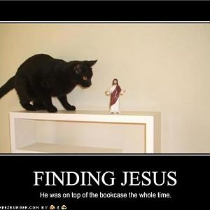 your cat has found jesus