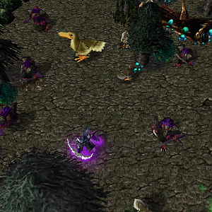 The grouse and arakkoa priests have began trying to purify the Plaguewoods! So far they are successful!

Though, some Arakkoa and Grouse have been t