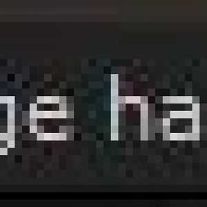 1337