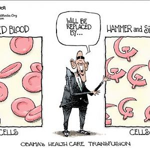 Sickle Cell Socialism