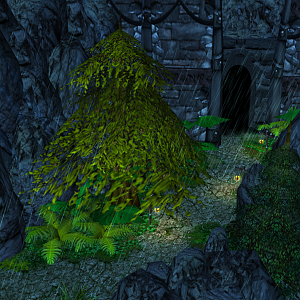 Forest 1