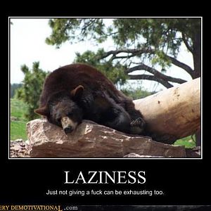 laziness