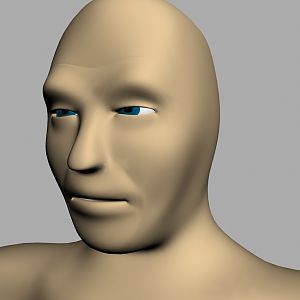 DonHeadNew