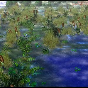 Swamp