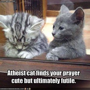 Cats have the right to not believe.