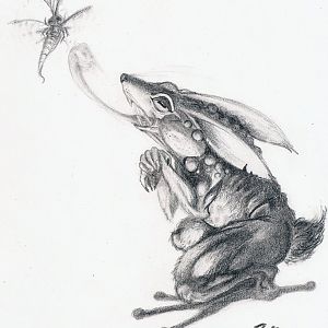Saqüelho