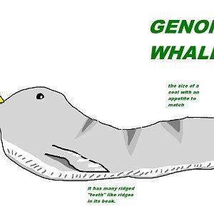 Genon whale