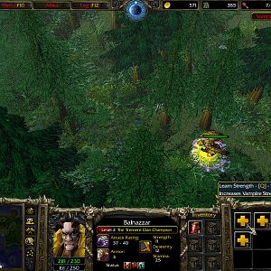 WC3ScrnShot 032610 202252 03
