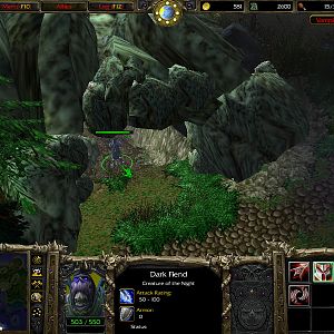 WC3ScrnShot 032610 203011 09