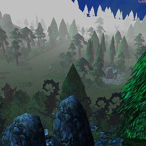 Everest Forest