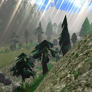 New Valley