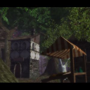 The second village, looking at the right side of the town viewing a cute market stand