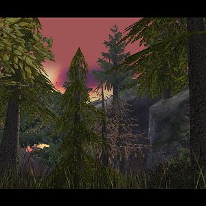 As the forest slims down a bit, a mountain becomes visible in the distance.