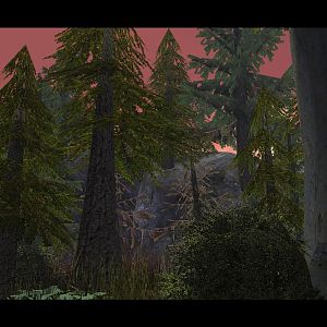 A gorgeous view of a nearby mountain surrounded by main trees, big and small.
