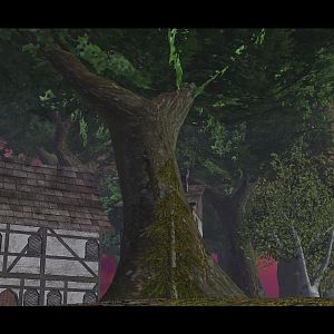 In a different village that is nearby, a giant tree stands majestically in the center of the village as a small pine tree grows next to it competing f