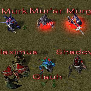 Characters info:

Mur'ar Aquacaster-High Priest-Murloc
Murk Nagaslayer-Elite Fanatic-Mur'gul
Murg-Tide Hunter-Murloc (possible halfbreed) 
Claxim