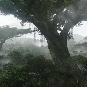 A view taken over the jungle, where you can see the giant trees.