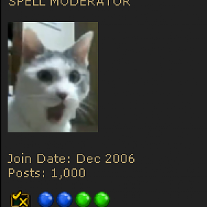1000 posts <3