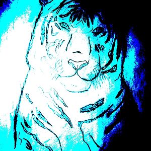 This tiger is drawn from a picture!