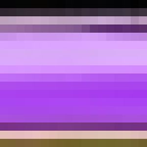 100% Purple