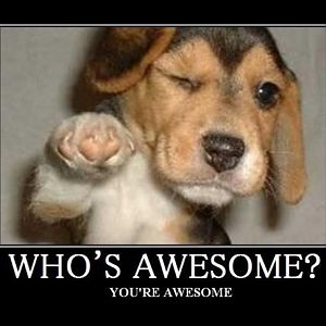 who ever you are, Your awesome, remember to have self confidence :D